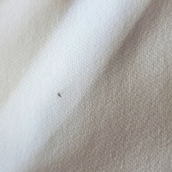 Rachel Zoe Ivory Womens Pants.  Size 12. Elastic Waist - Picture 6 of 9